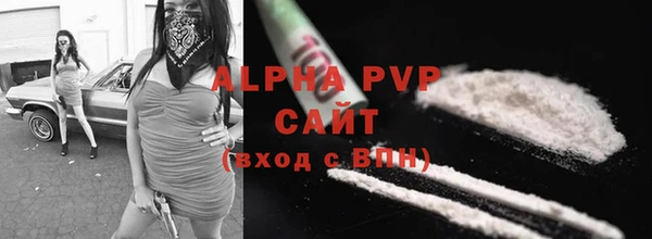 хмурый Белокуриха
