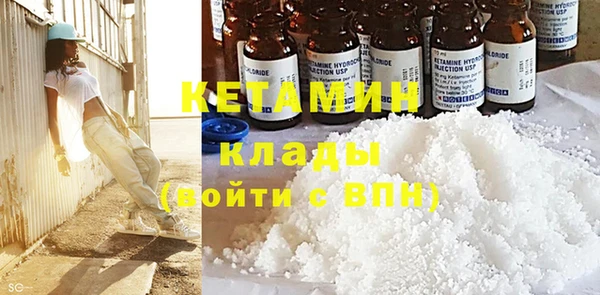 хмурый Белокуриха