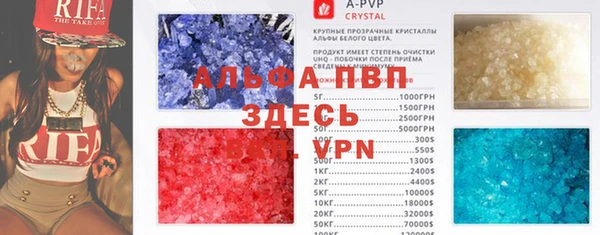 хмурый Белокуриха