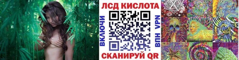 Наркотические марки 1500мкг  площадка какой сайт  Бутурлиновка 